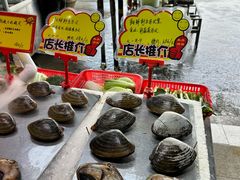 -蚝专家(北滘店)