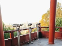 -阅江楼风景区