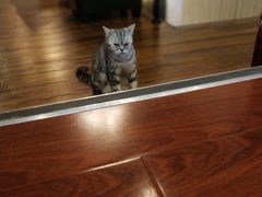 -万达广场(东莞厚街店)