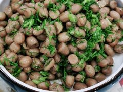 -大鸭梨烤鸭店(金顶街店)