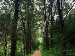 -碓臼峪自然风景区