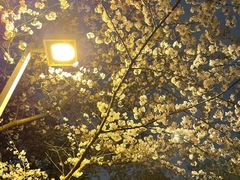 -白塘生态植物园