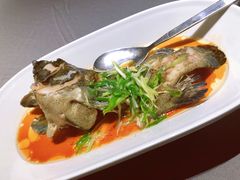 清蒸石斑鱼-徐记海鲜·宴会(大唐西市|丰庆店)