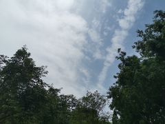 -后襄河公园