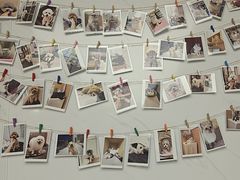 -瑞派康怡24h宠物医院·犬猫医疗中心·微创绝育(瑞景分院)