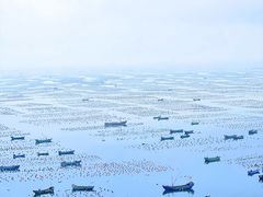 -枸杞岛