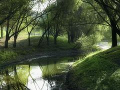 -长白岛森林公园