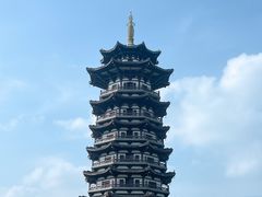 -洋湖国家湿地公园