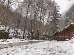 -秦岭终南山世界地质公园翠华山景区
