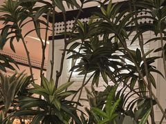 -良木缘咖啡西餐(优品道广场店)