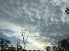 -三圣花乡旅游区