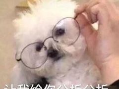 -Husky Go! 哈士奇体验馆·宠物咖啡厅狗咖