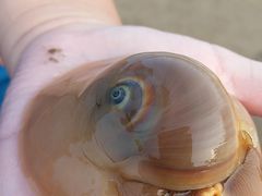 -北戴河东海水浴场