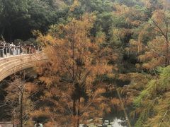 -云溪植物园