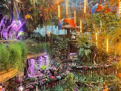 -正佳雨林生态植物园