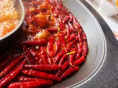 -川西坝子(老军营店)