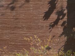 -中国茶叶博物馆(双峰馆区)