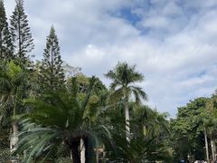 -深圳仙湖植物园