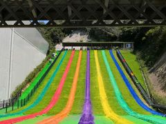 -梦幻奥陶纪景区