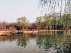 -将府公园