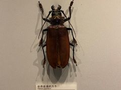 -天津自然博物馆