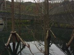 -梅峰山地公园