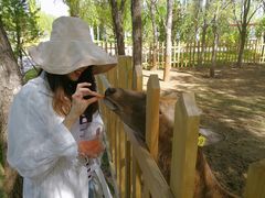 -亿利库布其七星湖沙漠生态旅游区