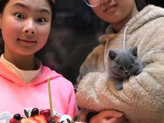 -美丽心情蛋糕(江苏路店)