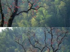 -四明湖