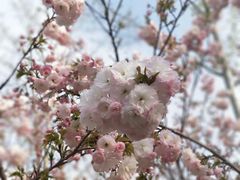 -大兴滨河森林公园