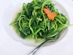 -梧桐