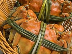 -蟹村草堂·苏式园林人文农家·大闸蟹