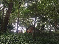 -蟹山公园