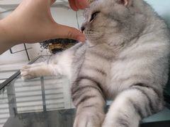 -平行世界·猫咖(首经贸店)