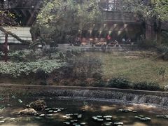 -香港大学