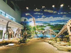 -自贡恐龙博物馆