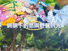 -八仙山公园