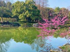 -杭州植物园