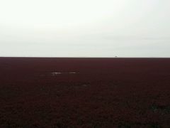 -红海滩国家风景廊道