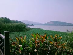 -长广溪湿地公园