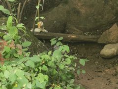 -云丘山景区