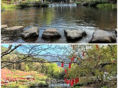 -广州市石门国家森林公园
