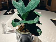 -玉满堂·湖北融合菜