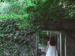 -燕晗山郊野公园
