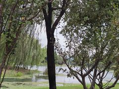 -尚贤河湿地