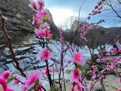 -黑龙潭风景区