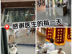 -瑞派名望志远动物医院·猫科·內科·异宠专科(直港大道店)