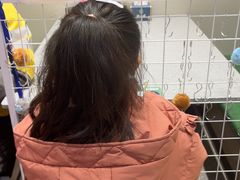 -紫光园·烤鸭(吕家营店)