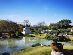 -扬州大运河文化旅游度假区·盆景园