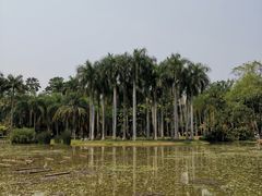 -中国科学院西双版纳热带植物园